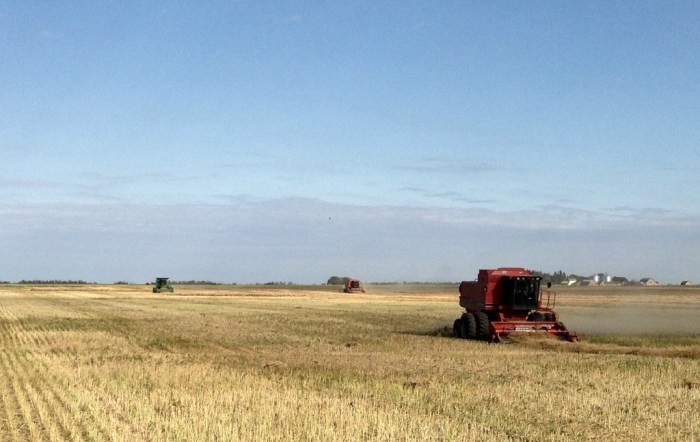 Three combines in same field