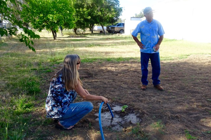 Deb Crowe, Jason Green