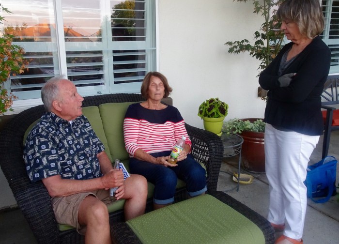 Mike Wade, Adrienne, Val